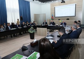 130 hectares of orchards to be planted in liberated territories next year