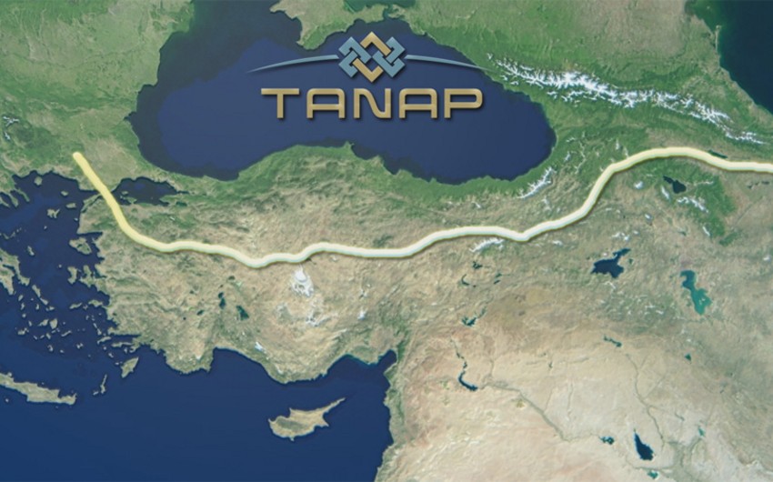 TANAP may be used by Gazprom for gas supply to south of Europe