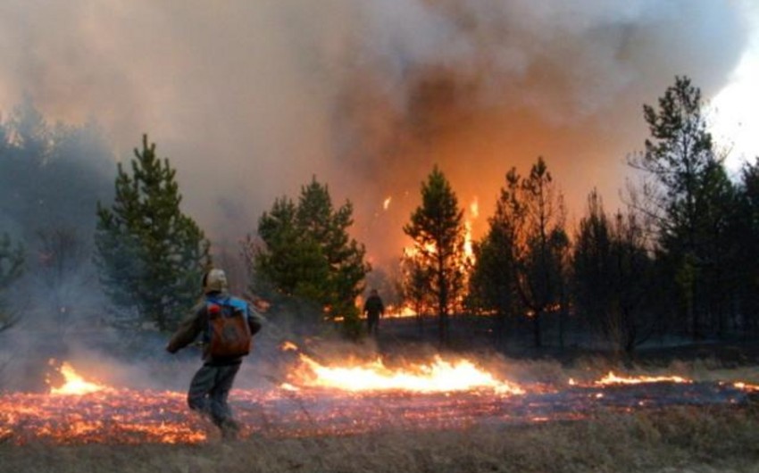 ​В Канаде к тушению лесных пожаров привлечена армия