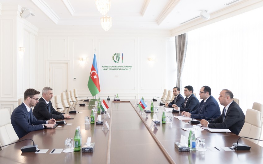 Azerbaijan, Hungary planning to increase trade turnover of agricultural products