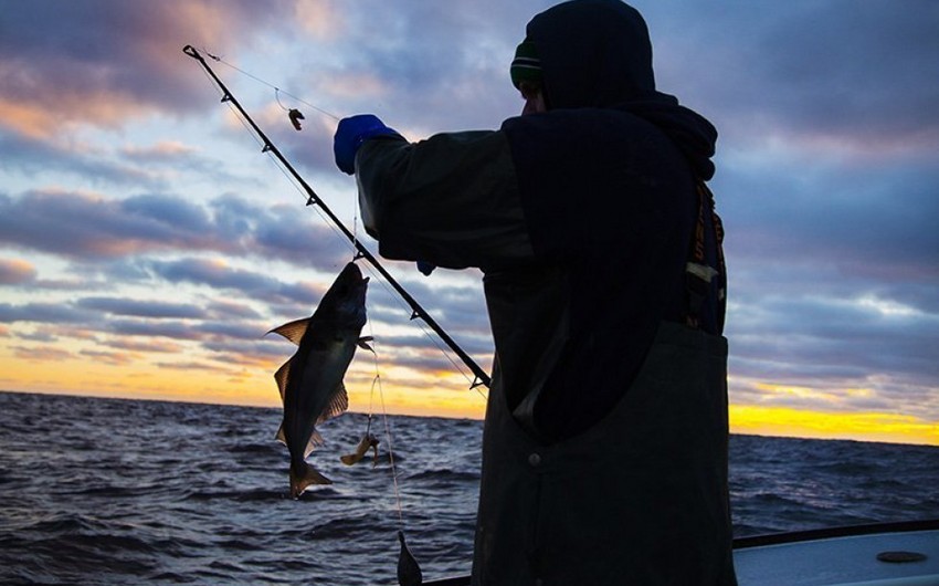В этом году за незаконную рыбалку привлечены к ответственности 182 человека
