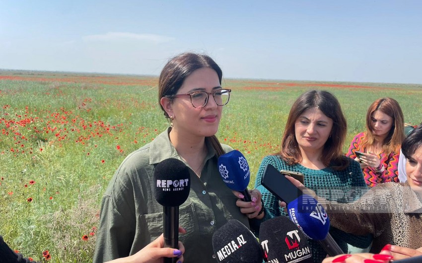 Arzu Babayeva: Ağgöl Milli Parkında ceyran populyasiyası müsbət dinamika ilə inkişaf edir