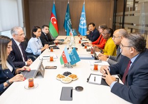 Mukhtar Babayev meets representatives of World Bank, discusses COP29 preparations