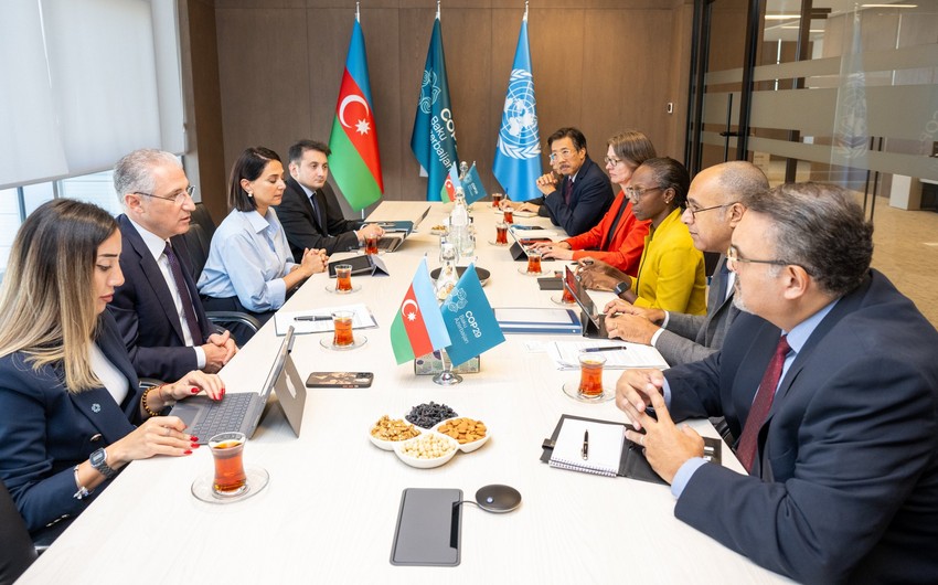 Mukhtar Babayev meets representatives of World Bank, discusses COP29 preparations