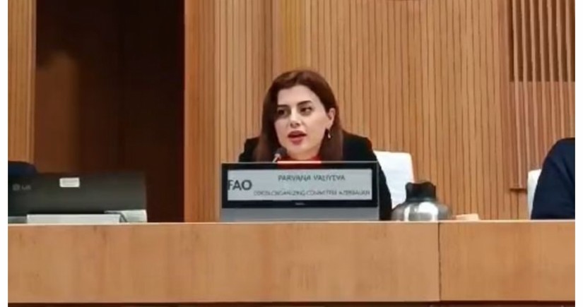 Пярвана Велиева: Азербайджан стремится сыграть роль связующего звена между странами на COP29