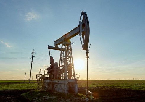 В этом году Азербайджан экспортировал около 8 млн тонн нефтеконденсата