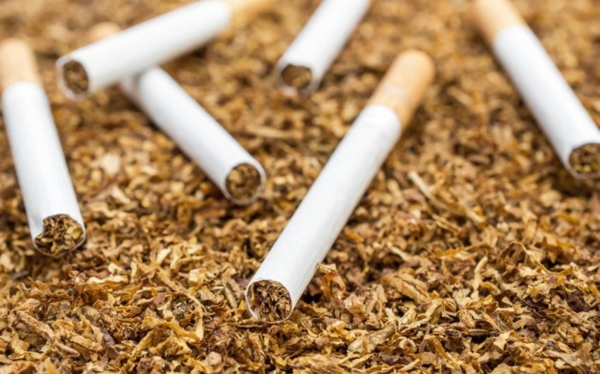 Azərbaycan Gürcüstandan tütün məmulatlarının idxalını 3 dəfəyə yaxın azaldıb