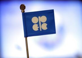 OPEC reduces forecast of liquid hydrocarbon production in Azerbaijan for this year