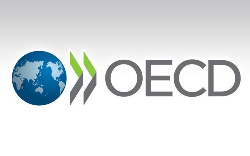 OECD: Dünyada birbaşa xarici investisiyalar yarım ildə iki dəfə artıb
