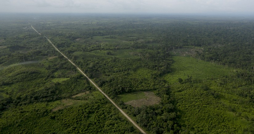 Власти Панамы закрыли три нелегальных перехода в джунглях на границе с Колумбией