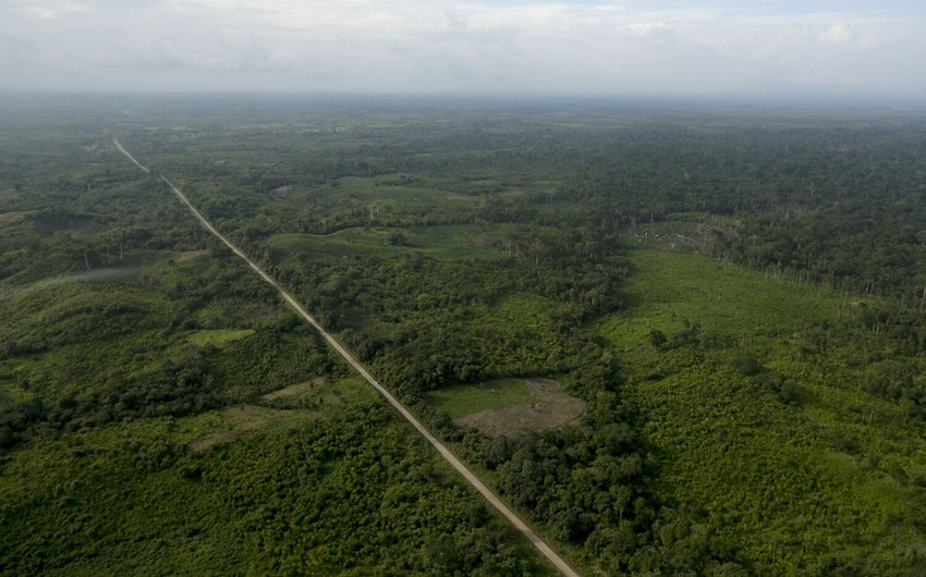 Власти Панамы закрыли три нелегальных перехода в джунглях на границе с Колумбией