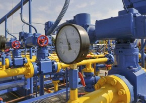 Slovakia interested in gas supplies from Azerbaijan