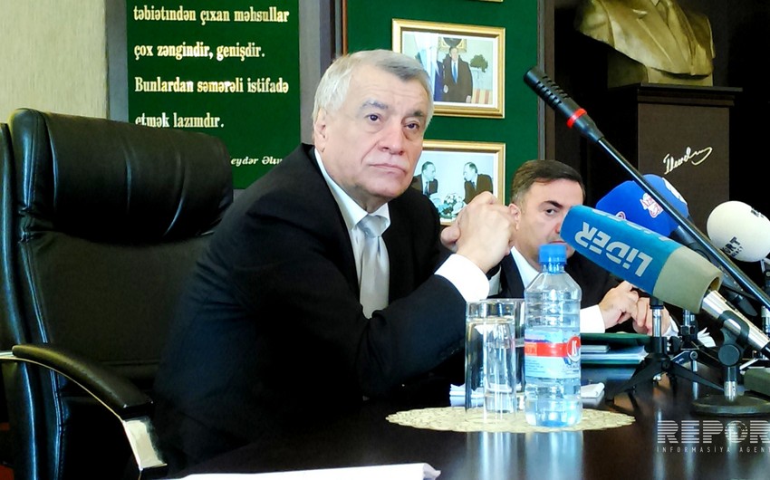 Natig Aliyev: In order to raise prices, OPEC must reduce production'