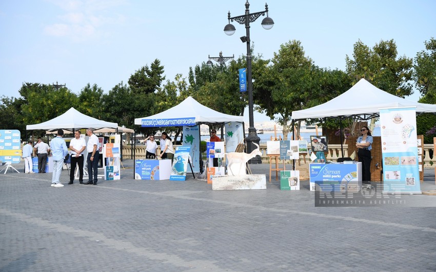 Bakıda Xəzər günü ilə bağlı tədbir keçirilir