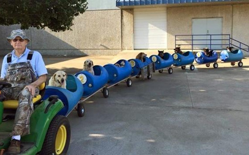 ​Техасский пенсионер построил паровозик для уличных собак - ВИДЕО