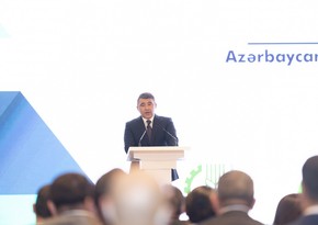 Впервые в Азербайджане теплицы будут освещаться инновационным способом