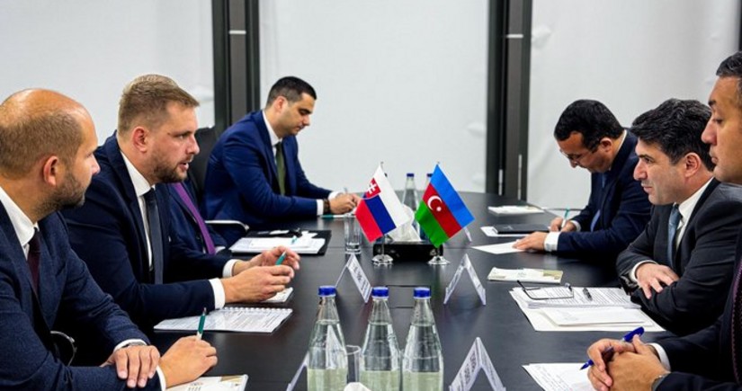 Slovakia, Azerbaijan mull issues of energy cooperation