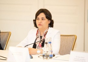 Deputy Minister: Baku Harmoniya climate initiative promotes global cooperation