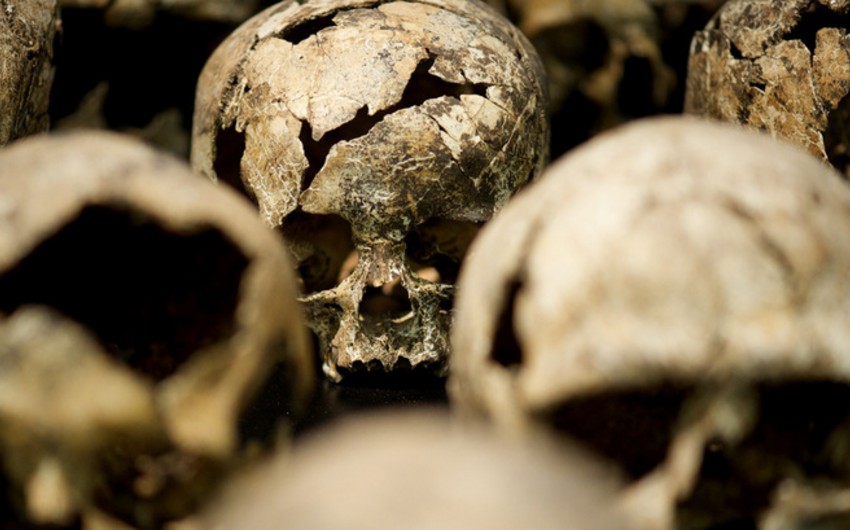 В тайном захоронении в Мексике нашли более 250 человеческих черепов