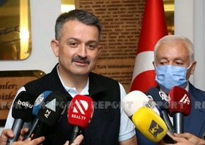 Министр: Все крупные пожары в Турции потушены