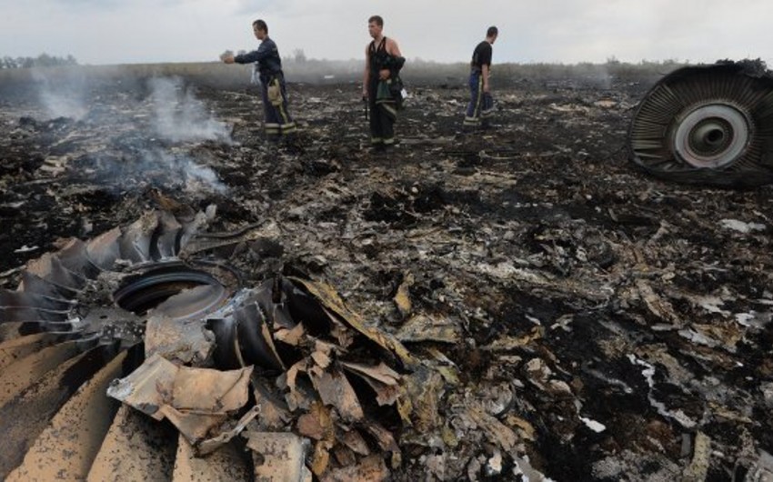 Мать одного из погибших при крушении Boeing на Украине пожаловалась в ЕСПЧ