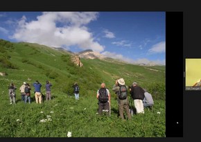 Azərbaycanın ornitoloji turizm potensialına həsr olunmuş vebinar keçirilib