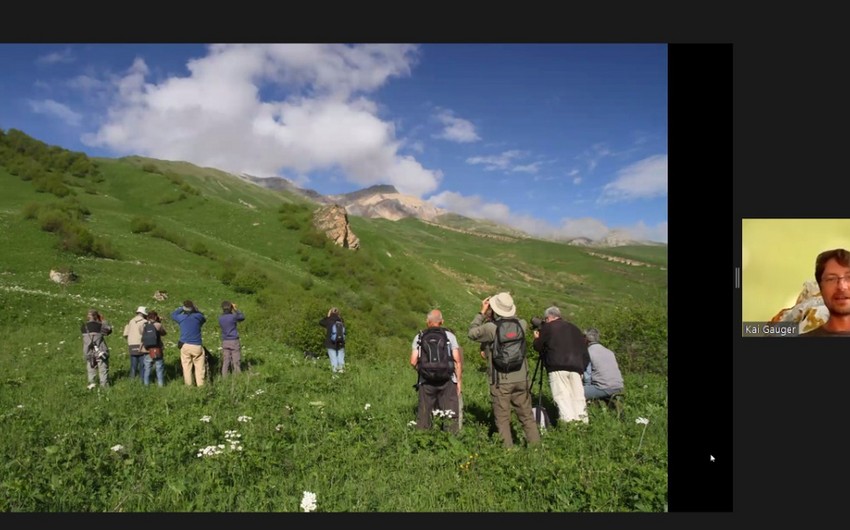 Azərbaycanın ornitoloji turizm potensialına həsr olunmuş vebinar keçirilib