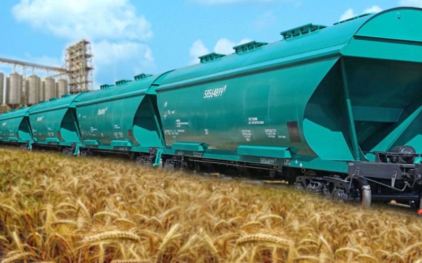 Россия намерена сделать квотирование экспорта зерна постоянным