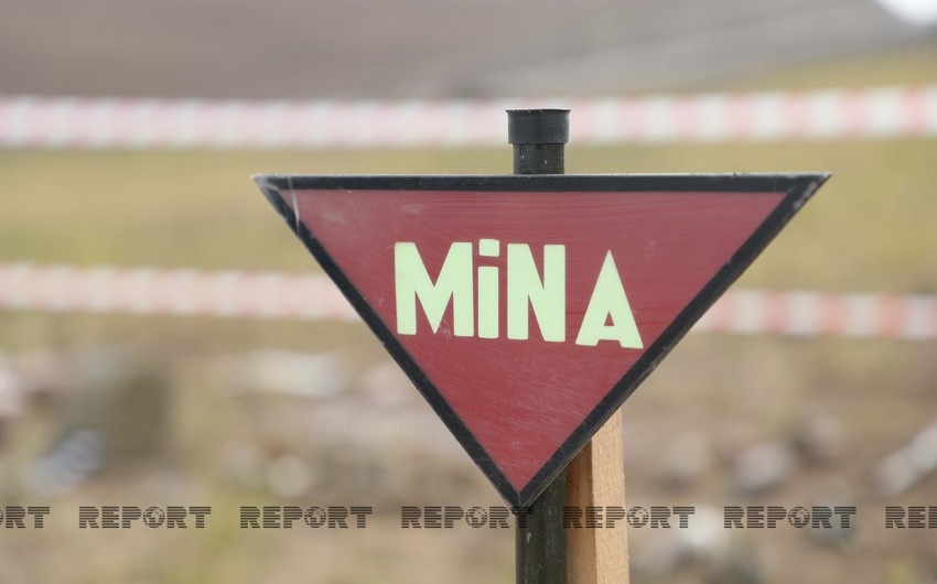 В Карабахе и Восточном Зангезуре от мин очищено 0,09 га территории