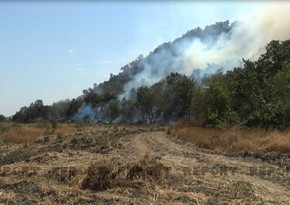 Wildfires in four Azerbaijani districts brought under control