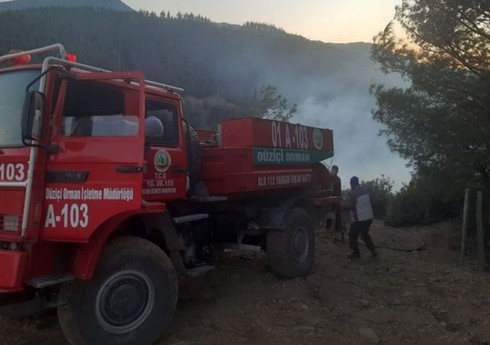 В турецком городе Османие произошел лесной пожар