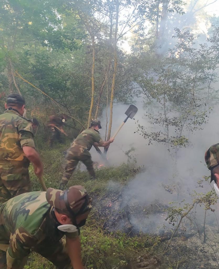 Haqqin az новости сегодня. Тушение пожара в лесу. Военные тушат пожар. Лесной пожар фото. Тушение пожара передают воду.