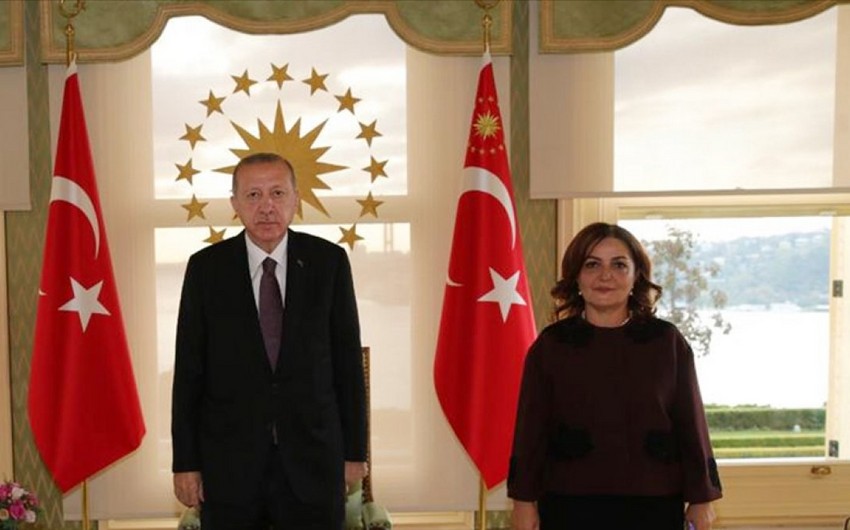 Эрдоган назначил азербайджанского ученого на высокий пост