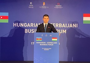 В Будапеште состоялся Азербайджано-венгерский бизнес-форум