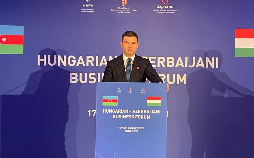 Budapest hosts Hungarian-Azerbaijani business forum