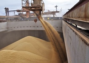 Страны G20 в итоговом коммюнике могут призвать к продлению зерновой сделки