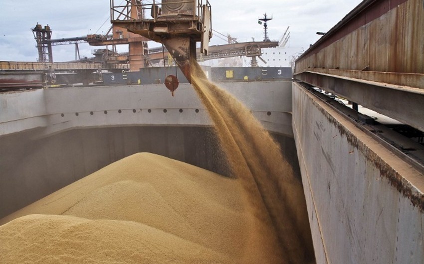 Five countries bordering Ukraine ask EU to extend temporary ban on importing Ukrainian grain products 