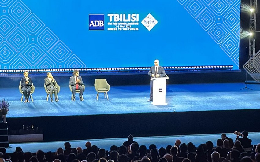 Хуцишвили: В Тбилиси в рамках встречи АБР обсуждается геополитика и изменение климата 