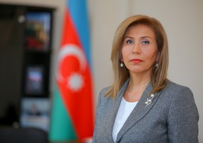 State committee chief comments on why Azerbaijan has fewer shelters for women