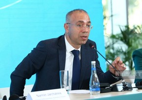 COP29 Summit in Baku to focus on climate financing, chief executive says