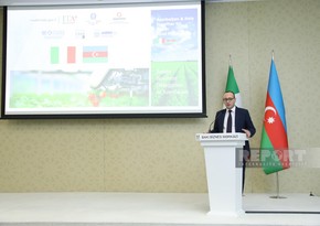 Турал Гаджилы: Азербайджан хочет расширить торговые связи с Италией