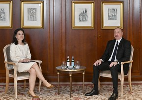 Президент Азербайджана провел встречу с главой МИД Германии