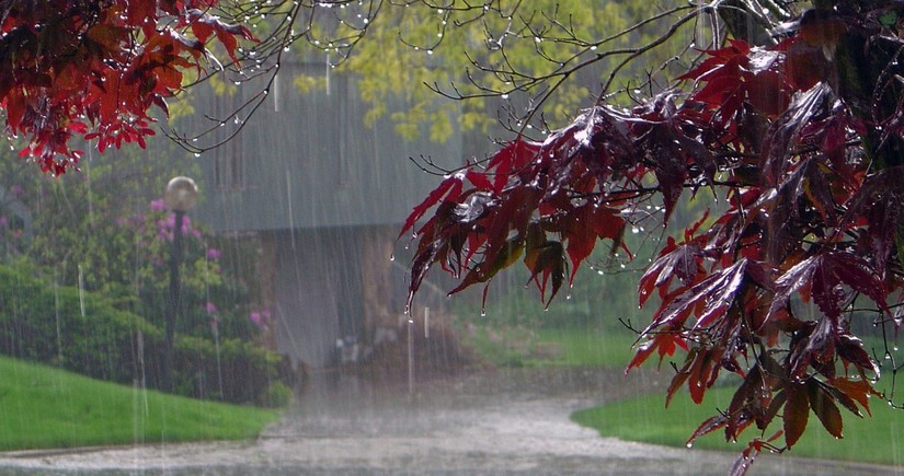 В районах Азербайджана прогнозируются дожди и грозы