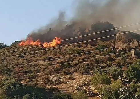 В курортной провинции Мугла на юге Турции начался лесной пожар