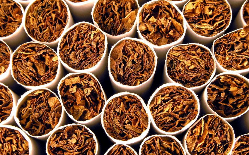 Azərbaycan tütün idxalına çəkdiyi xərci 19 % artırıb