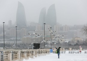 Umayra Tagiyeva: Snow expected in Baku