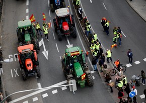 В столице Испании проходит акция протеста фермеров