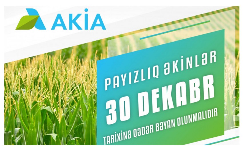 В Азербайджане начался прием заявок для получения субсидий на осенние посевы 