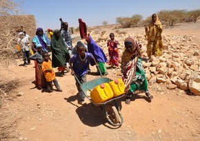 ВОЗ: В 2023 году почти 570 тыс. человек покинули свои дома в Сомали