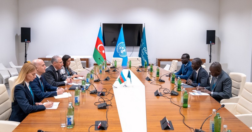 Azerbaijan, South Sudan mull COP29